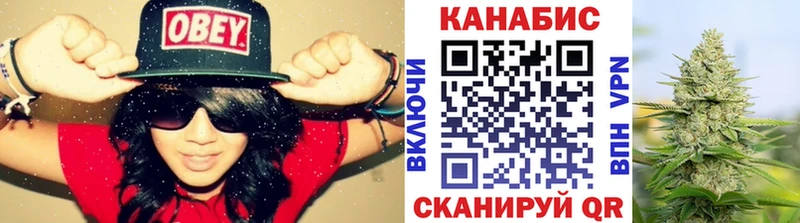 Купить закладку ГАШ  Канабис  A-PVP  Меф мяу мяу  COCAIN  Кинель